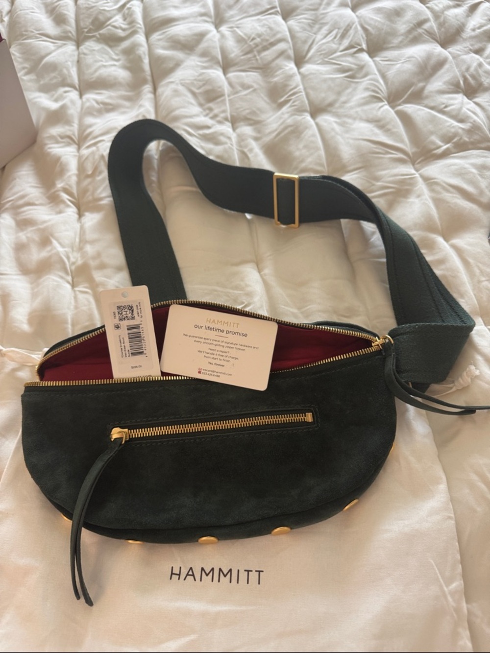 Hammitt Charles Medium Crossbody in Green Room Suede - Picture 4 of 5